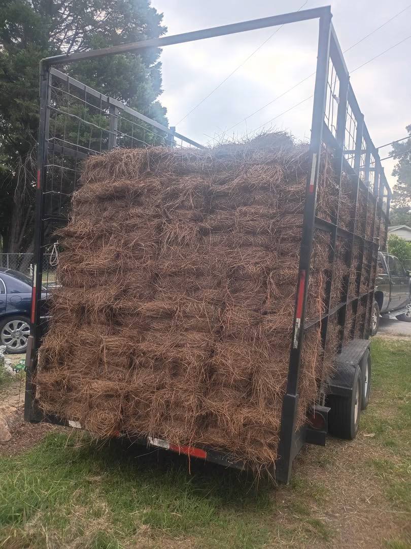 Trailer stacked full of fresh pine needle bales