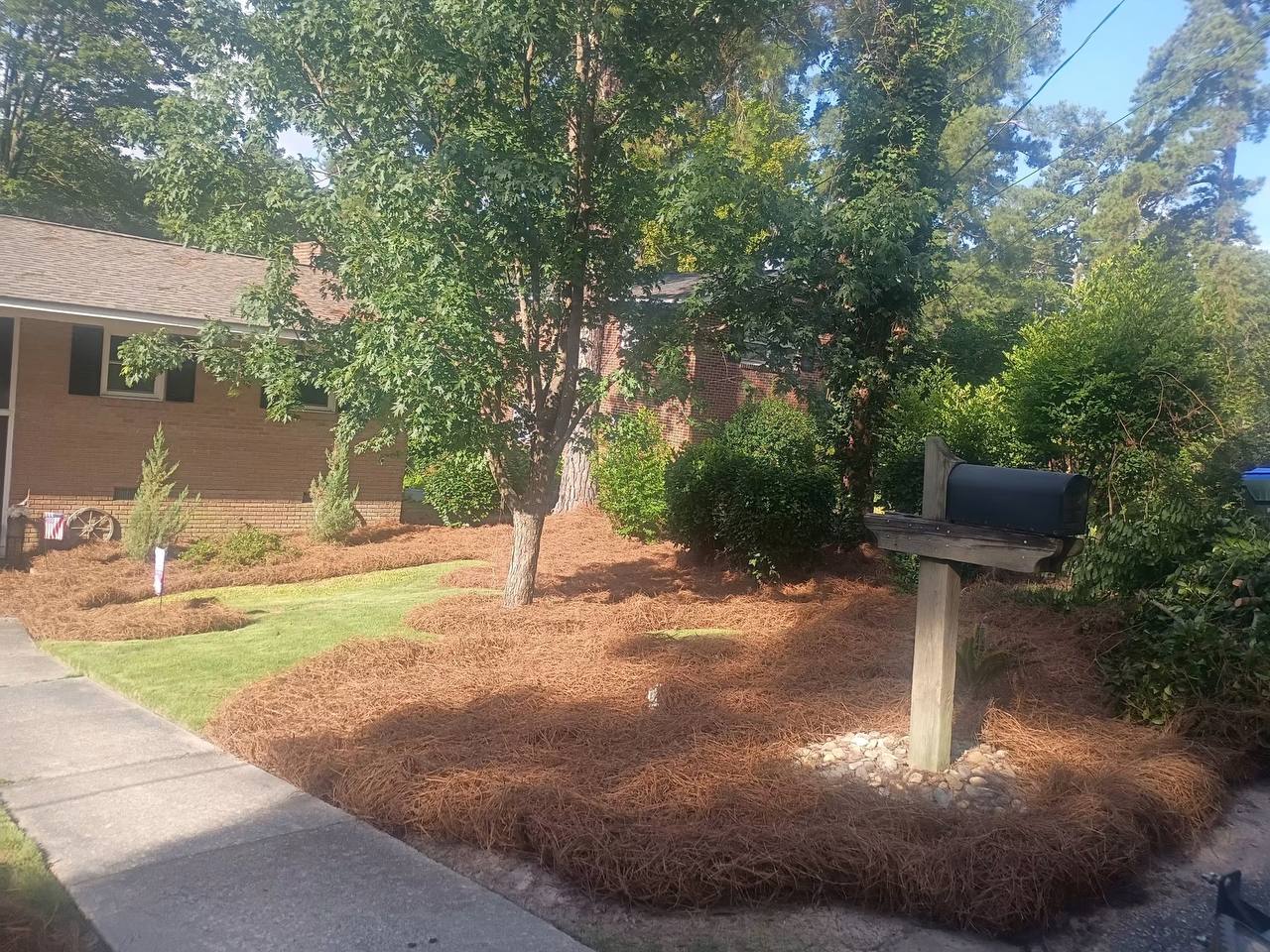 Mailbox garden bed with fresh pine needles