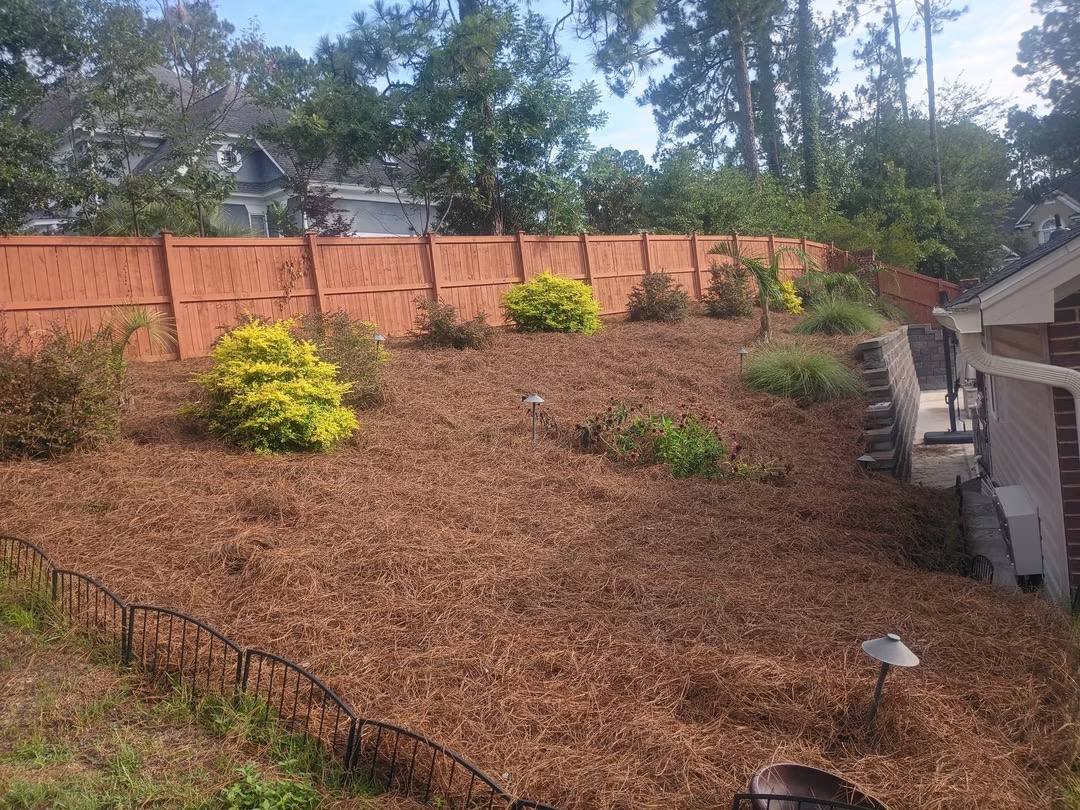 Landscaped slope with shrubs and landscape lighting