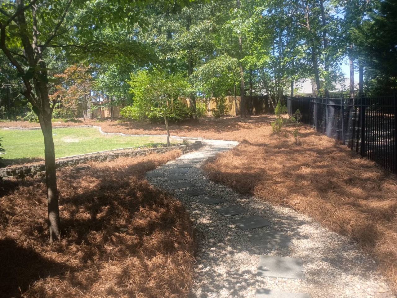 Stepping stone garden path through pine needle beds